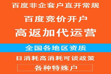 视频教程：通过SEM推广实现快速引流